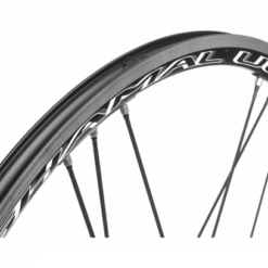 Campagnolo® Campagnolo Wheelset Shamal Ultra -Ruedas Ventas 5b0e71666be8e