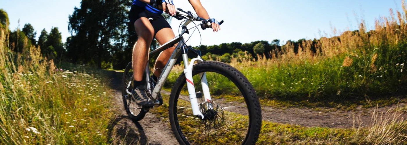 Ruedas Ventas 24 Ruedas Ventas -Ruedas Ventas 33